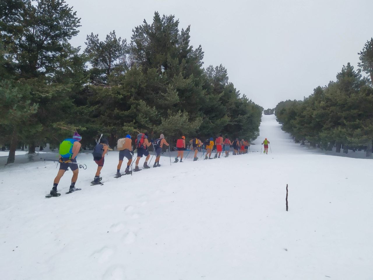 El grupo en fila con raquetas de nieve